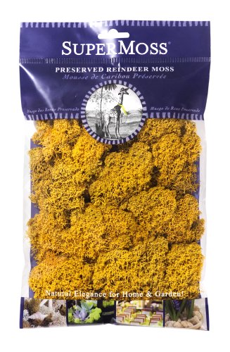Algopix Similar Product 1 - SuperMoss Reindeer Moss Preserved