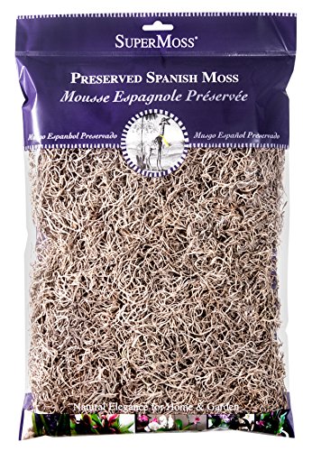 Algopix Similar Product 18 - SuperMoss Spanish Moss Preserved