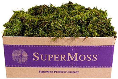 Algopix Similar Product 5 - SuperMoss Sheet Moss Mini Shredded