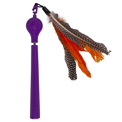 Algopix Similar Product 13 - Jackson Galaxy Air Wand Interactive Cat