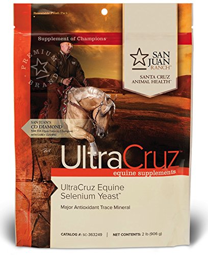 Algopix Similar Product 18 - UltraCruz Equine Selenium Yeast