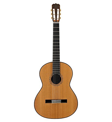 Algopix Similar Product 5 - Alvarez CYM75 Yairi Masterworks