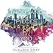 Algopix Similar Product 15 - A Thousand Pieces of You Firebird