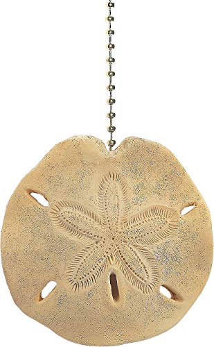 Algopix Similar Product 4 - Beach sea Shell Sand Dollar Ceiling Fan