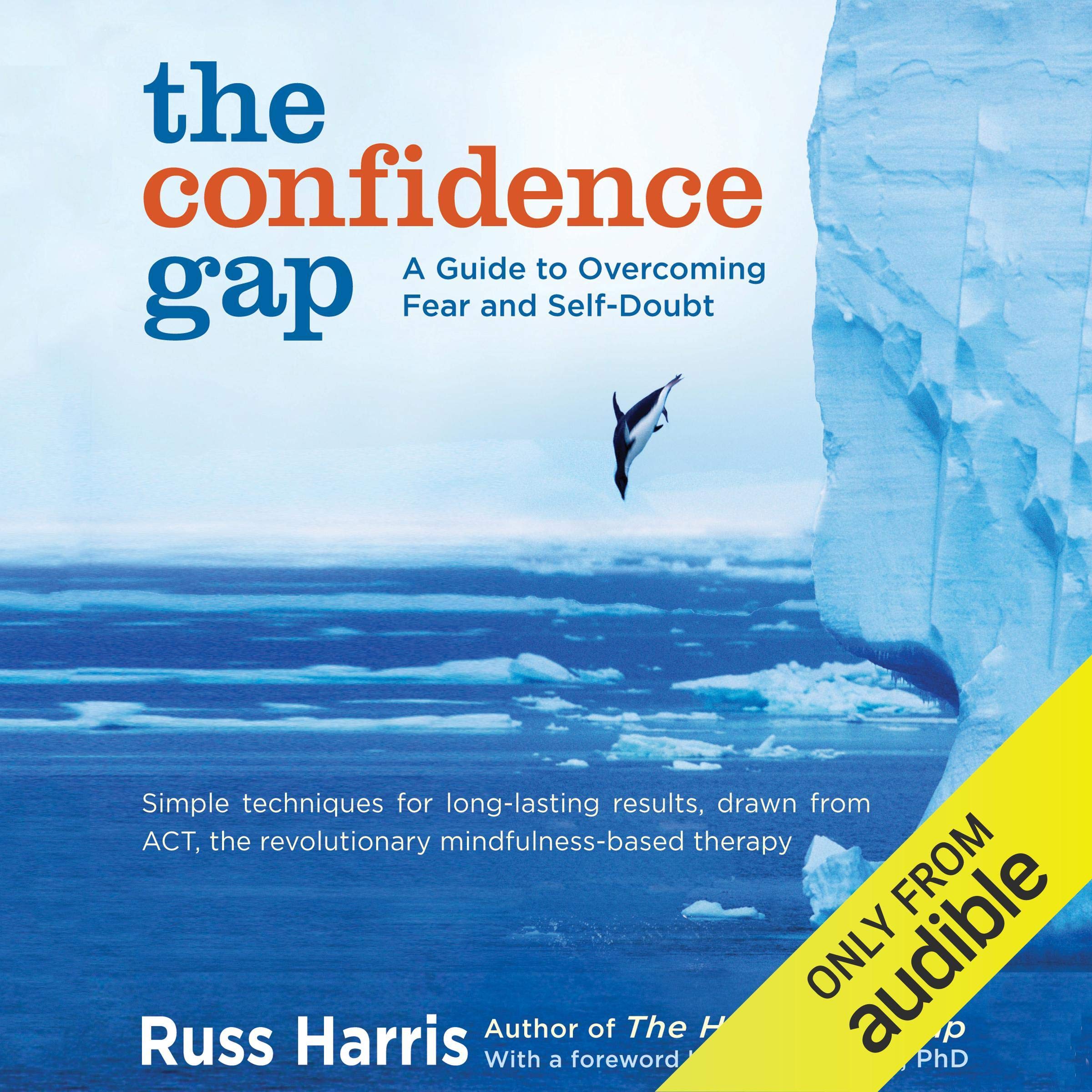 Algopix Similar Product 7 - The Confidence Gap A Guide to