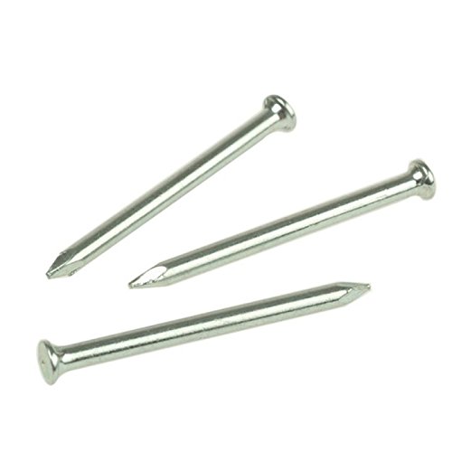 Algopix Similar Product 6 - Bulk Hardware BH02503 Masonry Nail 35