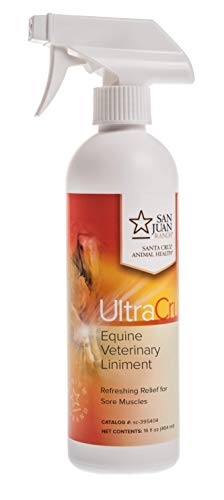 Algopix Similar Product 17 - UltraCruz Veterinary Liniment Spray for