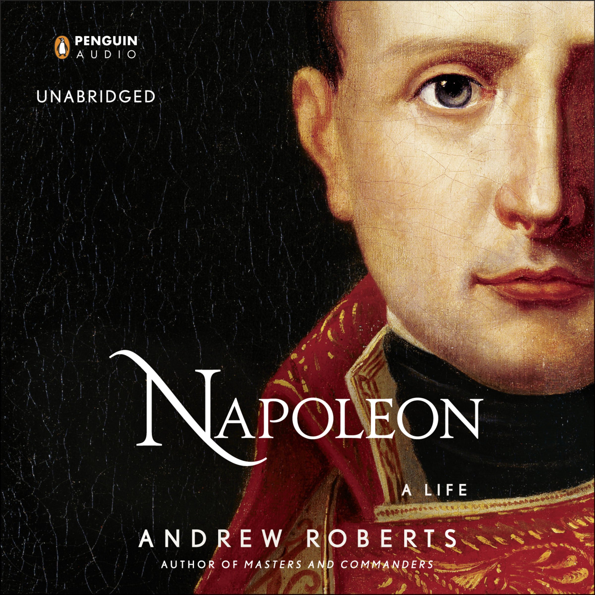 Algopix Similar Product 11 - Napoleon: A Life