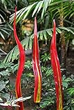 Algopix Similar Product 20 - Coloriscape Water Grass Garden Decor