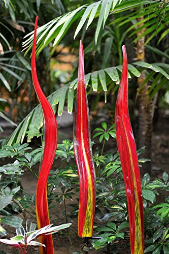 Algopix Similar Product 12 - Coloriscape Water Grass Garden Decor