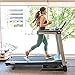 Algopix Similar Product 13 - LifeSpan Fitness  TR2000e Foldable