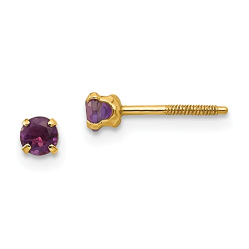 Algopix Similar Product 9 - 14k Madi K 3mm Amethyst Earrings