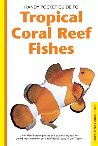 Algopix Similar Product 4 - Handy Pocket Guide to Tropical Coral