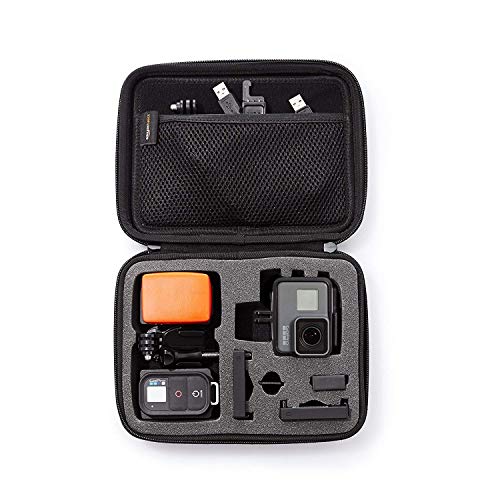 Algopix Similar Product 8 - Amazon Basics Small Carrying Case for