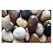 Algopix Similar Product 13 - Exotic Pebbles PM20-1030 Pebbles, Multi