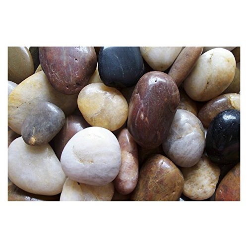 Algopix Similar Product 3 - Exotic Pebbles PM20-1030 Pebbles, Multi