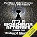 Algopix Similar Product 11 - Its A Wonderful Afterlife Volume One