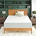 Algopix Similar Product 10 - ZINUS 12 Inch Green Tea Memory Foam