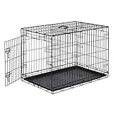 Algopix Similar Product 19 - Amazon Basics Single Door Folding Metal