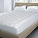 Algopix Similar Product 18 - Blue Ridge Home Fashions Waterproof