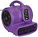 Algopix Similar Product 10 - Master Equipment PetEdge Blue Force Air