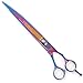 Algopix Similar Product 3 - Master Grooming Tools 5200 Rainbow