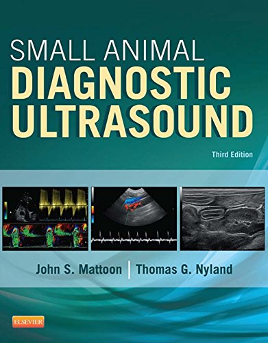 Algopix Similar Product 9 - Small Animal Diagnostic Ultrasound