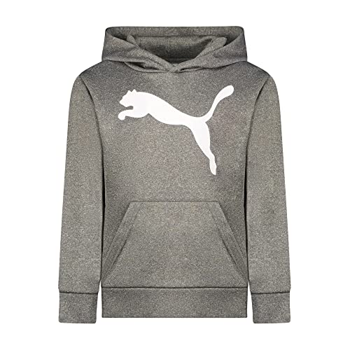 Algopix Similar Product 12 - PUMA Boys Big Cat Hoodie Little