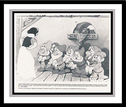 Algopix Similar Product 15 - Snow White and the Seven Dwarfs The
