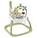 Algopix Similar Product 17 - Fisherprice Rainforest Friends