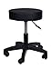 Algopix Similar Product 6 - TMS Adjustable Black Tattoo Salon Stool