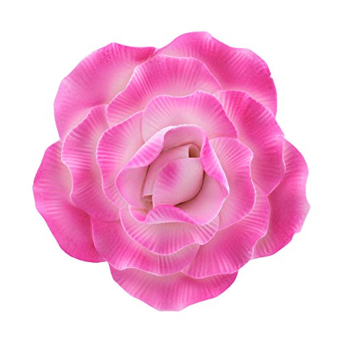 Algopix Similar Product 16 - Peony Rose White with Pink 4 Count by