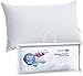 Algopix Similar Product 11 - Continental Bedding 100 Luxury Goose