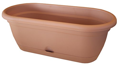 Algopix Similar Product 3 - Bloem LWB18466 Lucca Plant Window Box