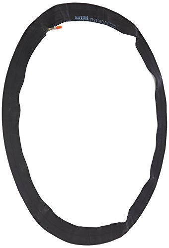 Algopix Similar Product 14 - MAXXIS 29x19235 Ultralight Tube pv48