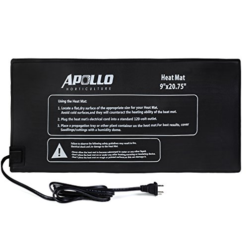 Algopix Similar Product 7 - Apollo Horticulture 9x20 Seedling