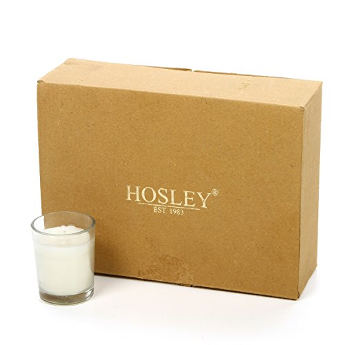 Algopix Similar Product 1 - Hosley Set of 12 Ivory Unscented Clear