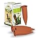 Algopix Similar Product 18 - PlantABottle Set of 4 Indoor Plant