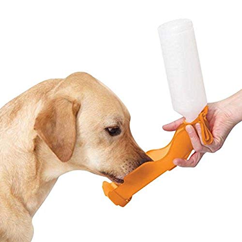 Algopix Similar Product 19 - Guardian Gear HandiDrink Orange