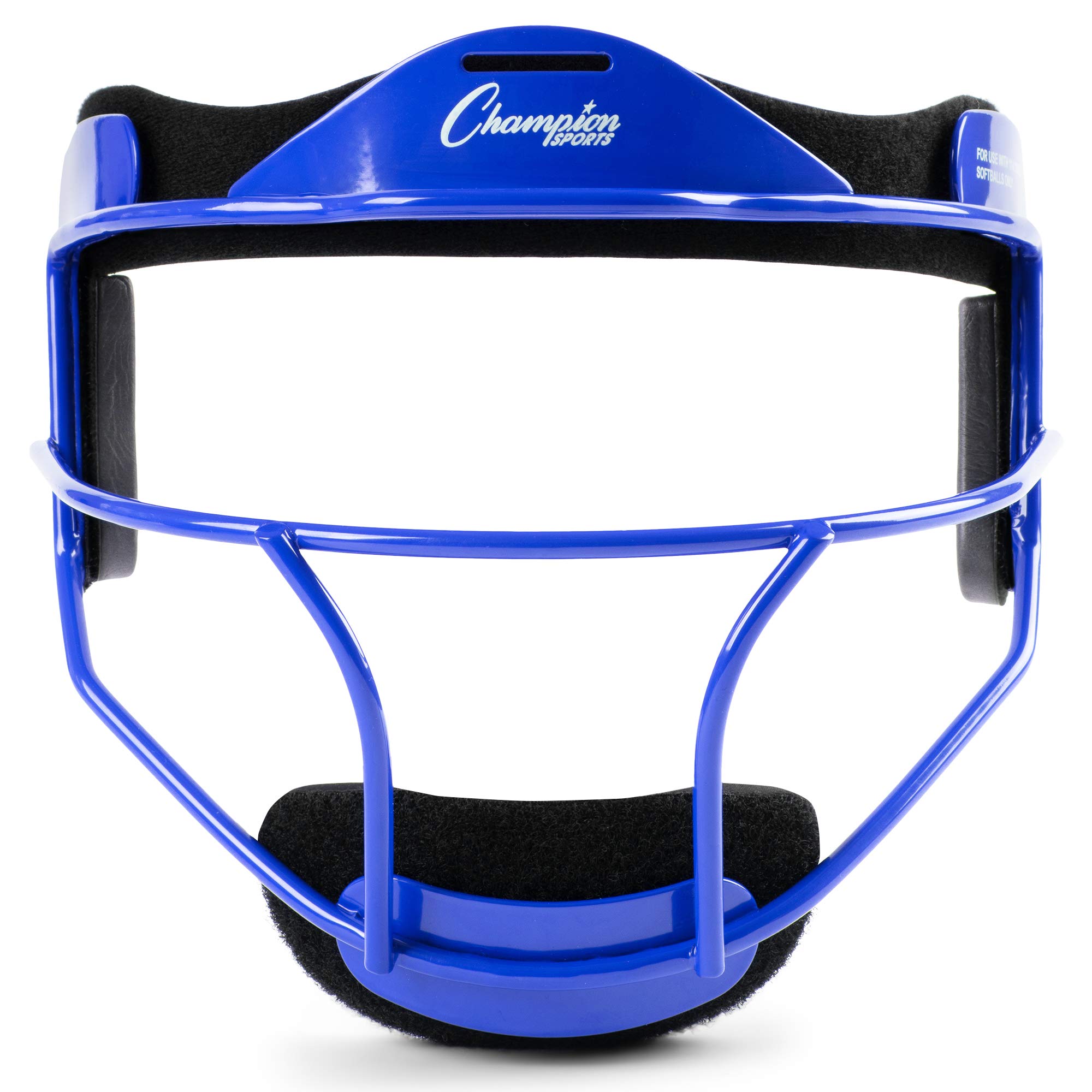 Algopix Similar Product 18 - Champion Sports Steel Softball Face