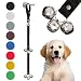 Algopix Similar Product 5 - Caldwells Pet Supply Co Dog Potty