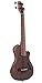 Algopix Similar Product 19 - Gold Tone 4 String AcousticElectric