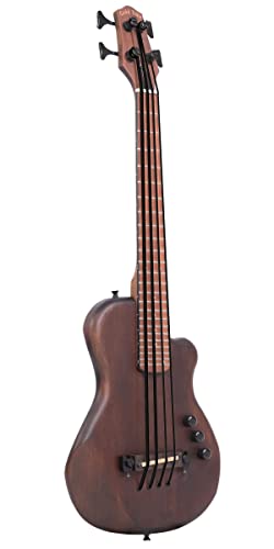 Algopix Similar Product 17 - Gold Tone 4 String AcousticElectric