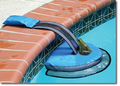 Algopix Similar Product 18 - NA4554 Pool Critter Escape Ramp