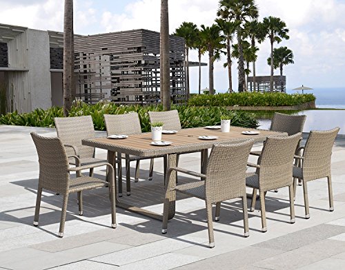 Algopix Similar Product 5 - Starsong DS010 Borealis 9 Piece Dining