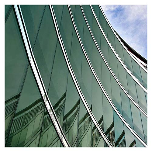 Algopix Similar Product 18 - BDF PRGN Window Film Premium Color High
