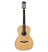 Algopix Similar Product 19 - Alvarez Yairi Masterworks Series PYM70