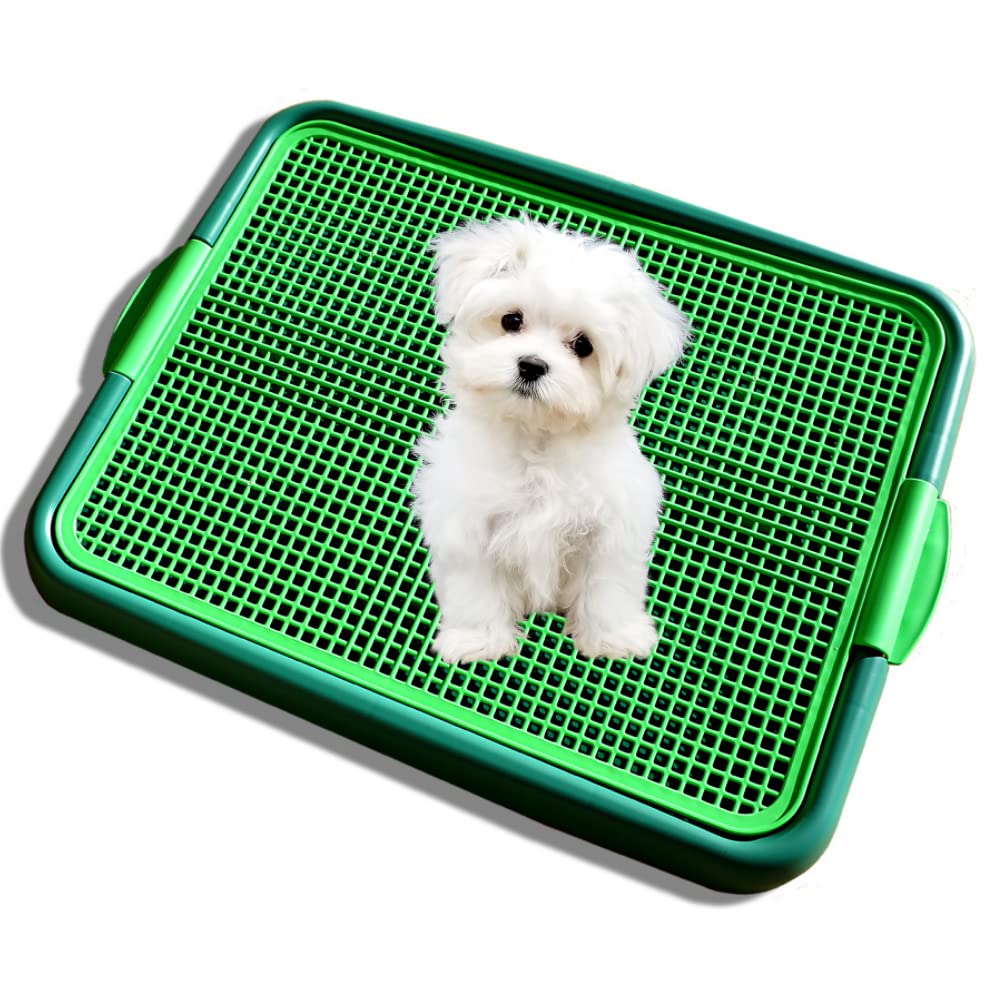 Algopix Similar Product 5 - Blyss Pets Klean Paws Dog Toilet 
