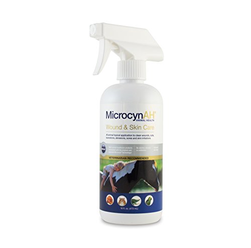 Algopix Similar Product 19 - MicrocynAH Wound and Skin Care, 16-Ounce
