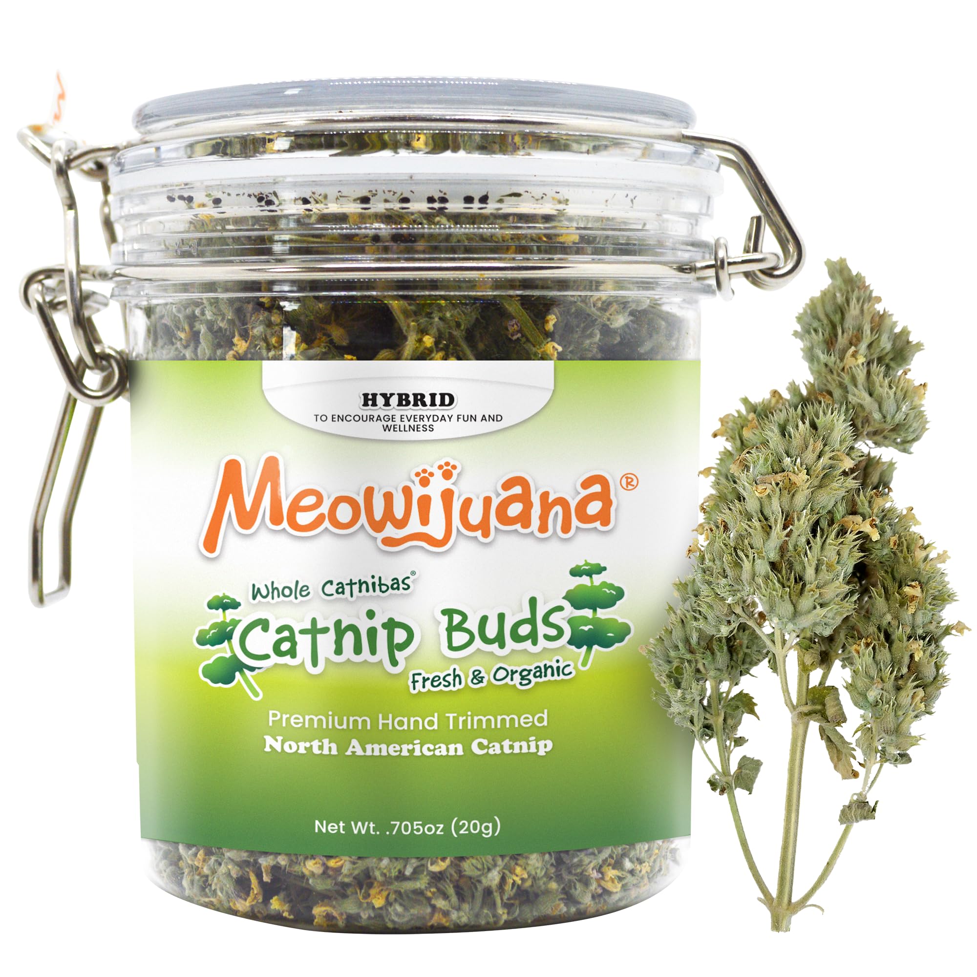 Algopix Similar Product 13 - Meowijuana  Dried Catnip Buds Jar 